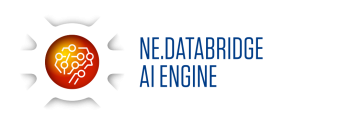 NE.DATABRIDGE AI ENGINE